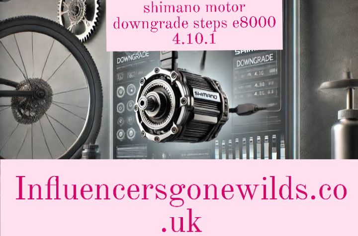 shimano motor downgrade steps e8000 4.10.1